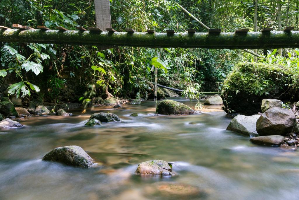 Rio Tukawa hotel Filandia Quindio Colombia rio quebrada river nature naturaleza